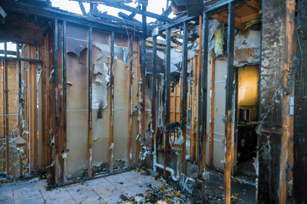 Professional Fire Damage Removal technician working in Ruskin, FL