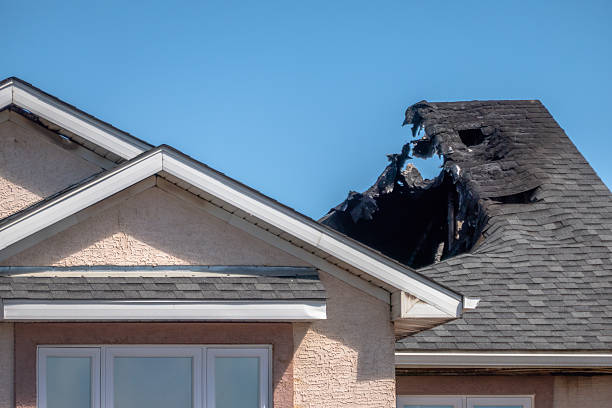 Top rated local Fire Damage Removal specialists in Ruskin, FL